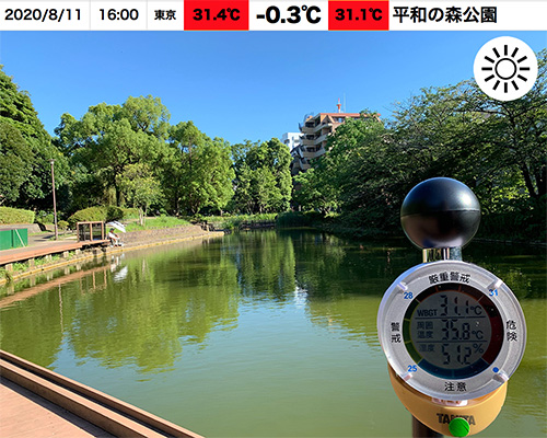 平和の森公園 ひょうたん池 日向 | 東京クールスポットマップ
